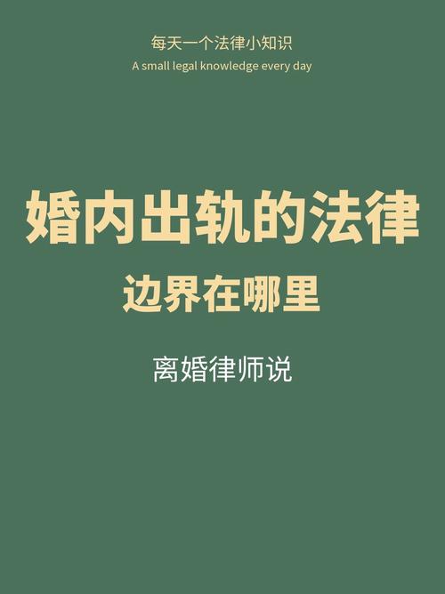 婚内出轨法律_法律出轨_出轨法律责任最新规定